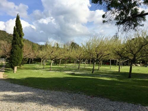 Apartamento Can Guill� 3