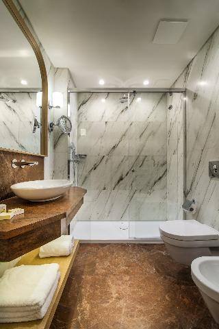 Bradul Hotel
