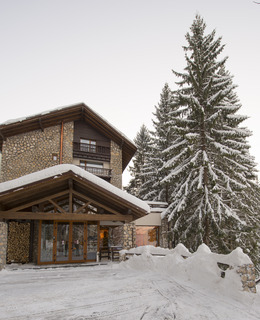 Bradul Hotel