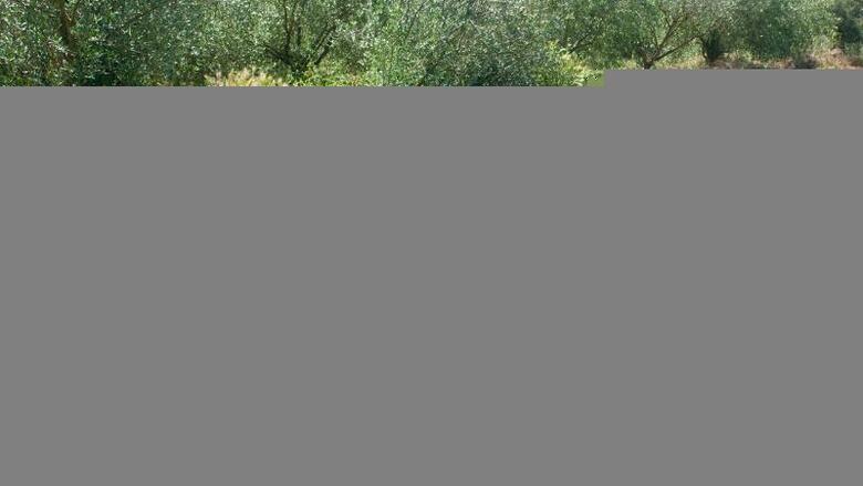 Hotel Empord�