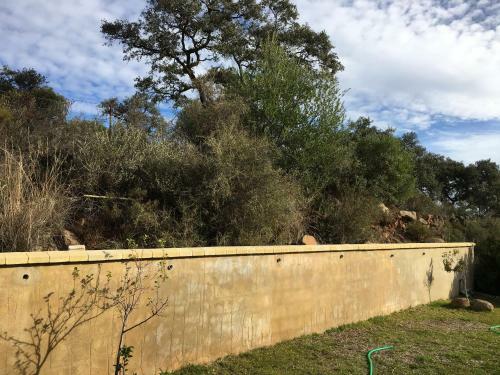 El Castillo