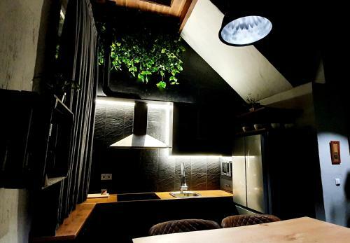 Loft Catedral Apartamento Deluxe