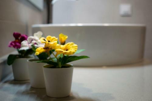 Apartamento Estudio De Tiedra