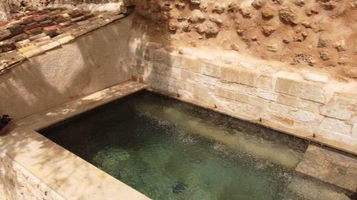 Huerto de Mateo Arana