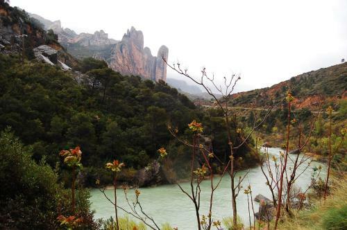 Agroturismo La Posada Del Arba