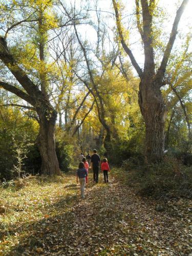 Agroturismo La Posada Del Arba