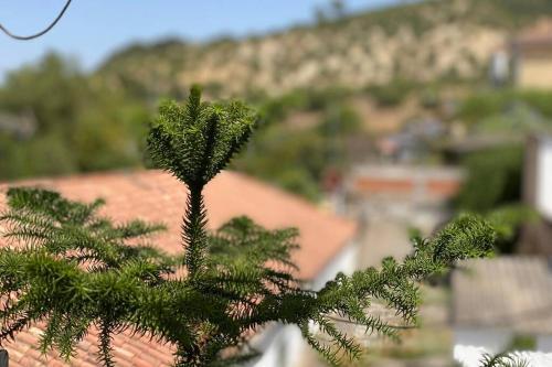 La Casona Del Molino En El Bosque