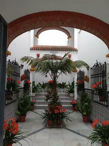 Apartamento �tico Los Arcos