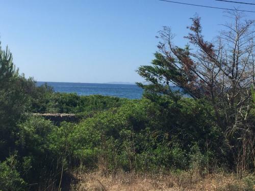 Villa Son Reynes Pool & Sea
