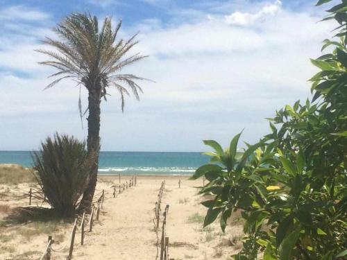 Apartamento �tico Las Minvas 1� Linea de Playa