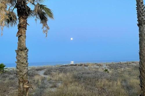 Apartamento Appartement "los Pinos" Vue Sur Mer Imprenable