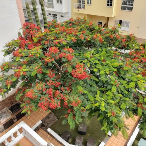 Albergue Corralejo Garden&relax