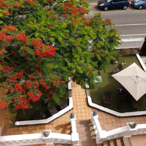 Albergue Corralejo Garden&relax