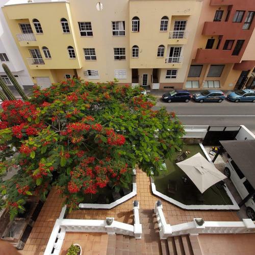 Albergue Corralejo Garden&relax