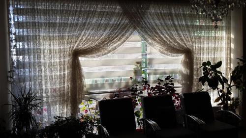Hotel Yesil Artvin