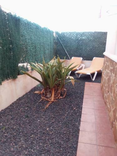 Villa Ventura Caprice