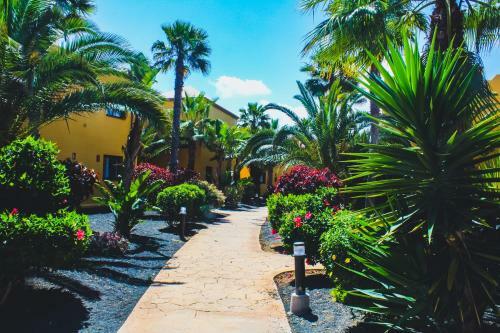 Oasis Fuerteventura Beach Apartments