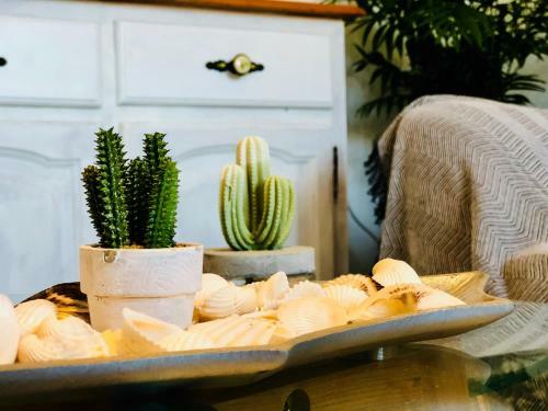 Apartamento Cactus Lodge