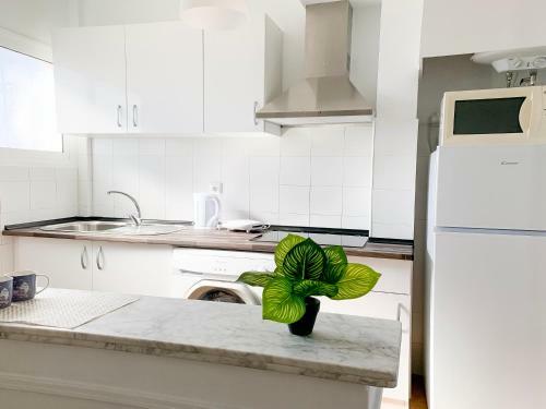 Apartamento Corralejo Verde Mar Susy 46