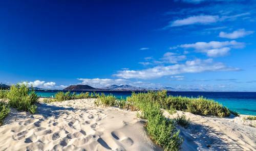 Popcorn Beach House