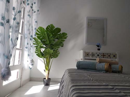 Apartamento Tropical Loft