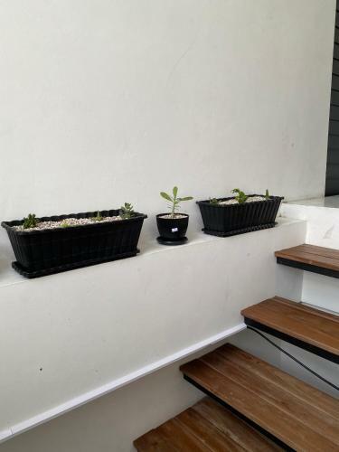 Villa Oasis Penthouse In Rice Field