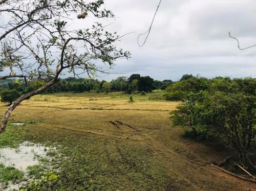 Elephant Lake