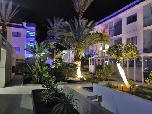 Apartamento Casa Bal�