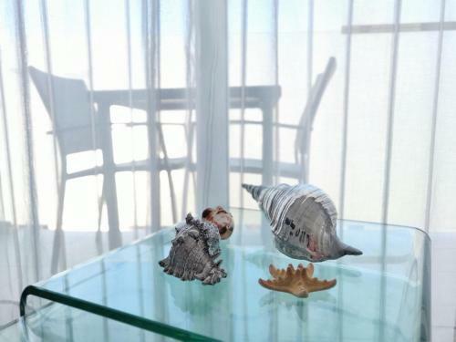 Apartamento Casa Bal�