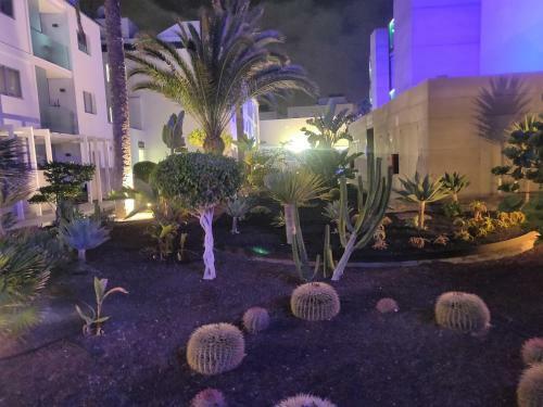 Apartamento Casa Bal�