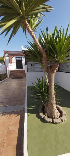 Nahir Holiday Apartment