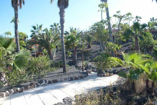 Apartamento Oasis Royal 3 Piscinas - Fibra �ptica