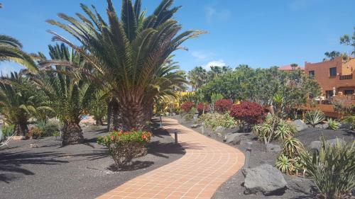 Apartamento Oasis Royal 3 Piscinas - Fibra �ptica