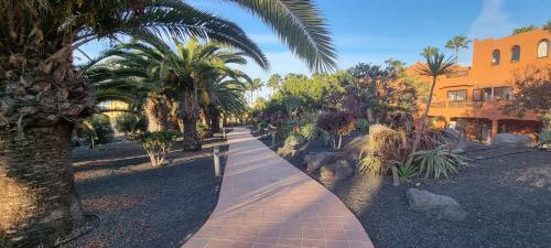 Apartamento Oasis Royal 3 Piscinas - Fibra �ptica