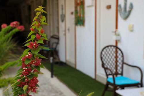 Hotel Hevana Holidays