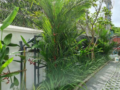 Apartamento 23 Hotel & Residence