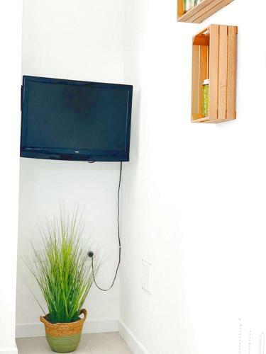Apartamento Cactus Home