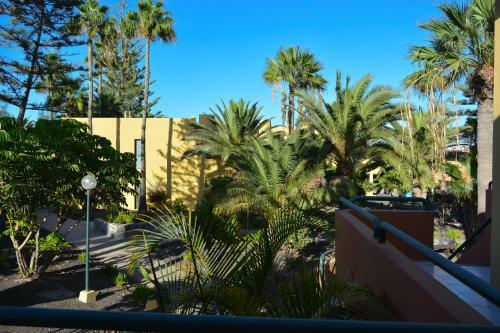 Apartamento Atlantic Garden 238