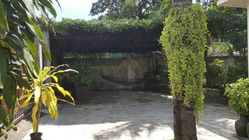Lat-asan Transient House Bacolod