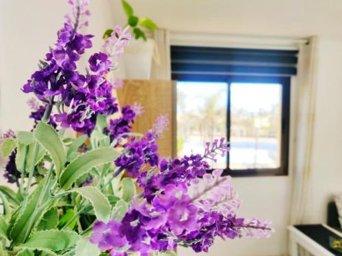 Apartamento Casa Gi�