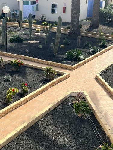Apartamento Alisios Paradise Viviendas Vacacionales