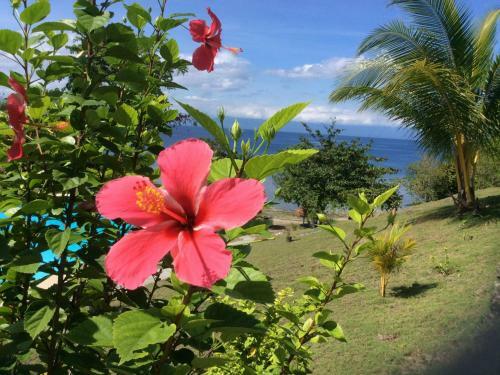 Hotel Cuestas Beach Resort And Restaurant