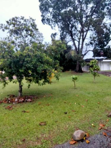 Villa Pd High Top Bungalow Homestay