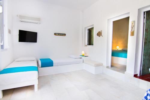 Hotel Gorgona