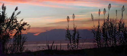 Apartamento Villa Voula