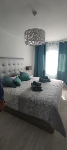 Barbara - Modern And Central Apartment