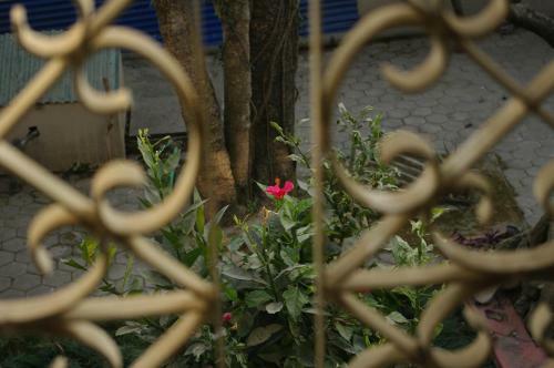 Hostal Laughing Buddha Hotel & Garden Theater
