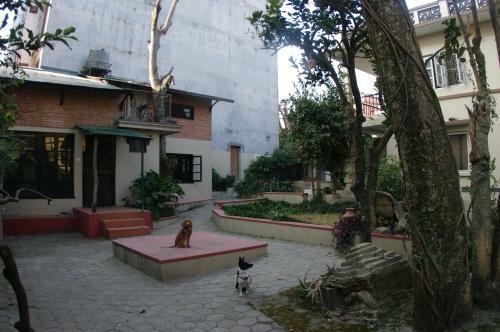 Hostal Laughing Buddha Hotel & Garden Theater