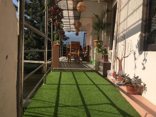 Birds Nest Hostel