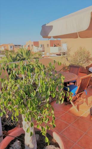 Apartamento Casa Leon Fuerteventura